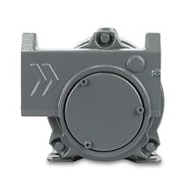 Насос для бензина Gespasa Iron 50 EX 220