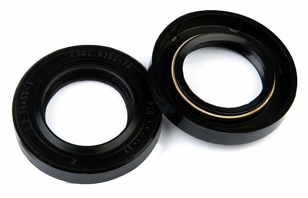 Сальник на вал насоса СЦЛ-20-24, СЦЛ-01 (манжета армированная 38х58)